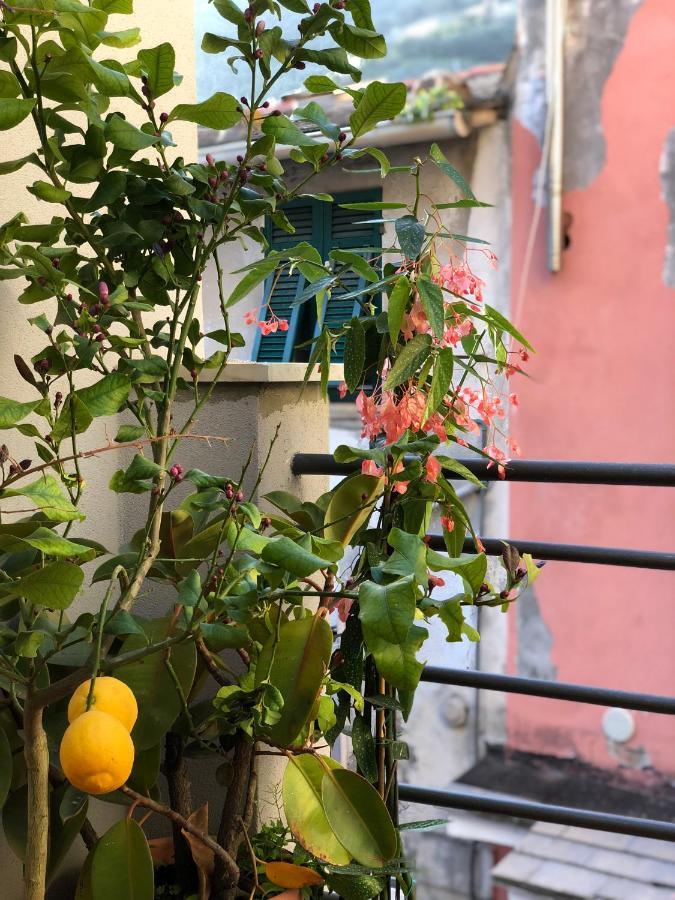 La Polena - Carattino Apartment Vernazza